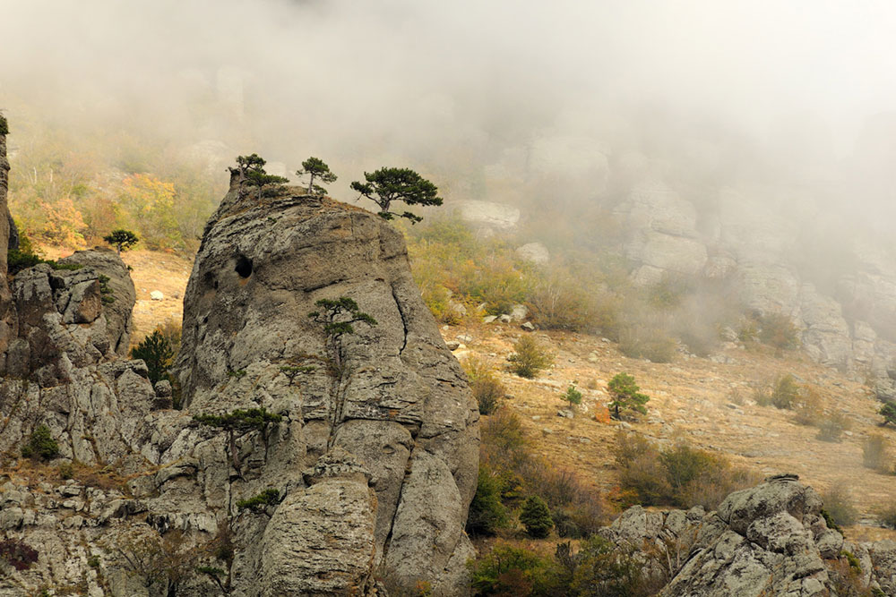 Мк в крыму. Мастер Крым.